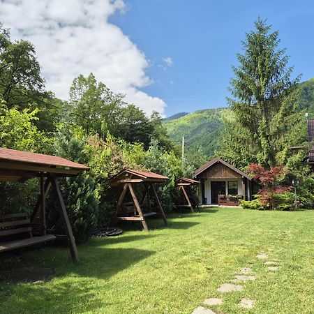 Hotel Pensiunea Dumbravita à Rîu de Mori Extérieur photo