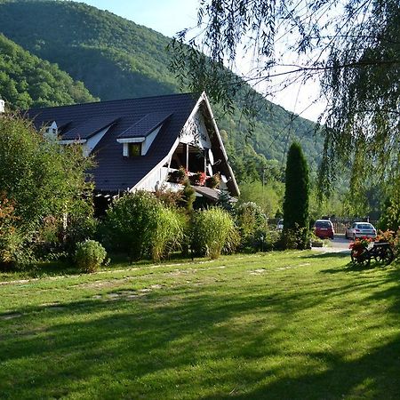 Hotel Pensiunea Dumbravita à Rîu de Mori Extérieur photo