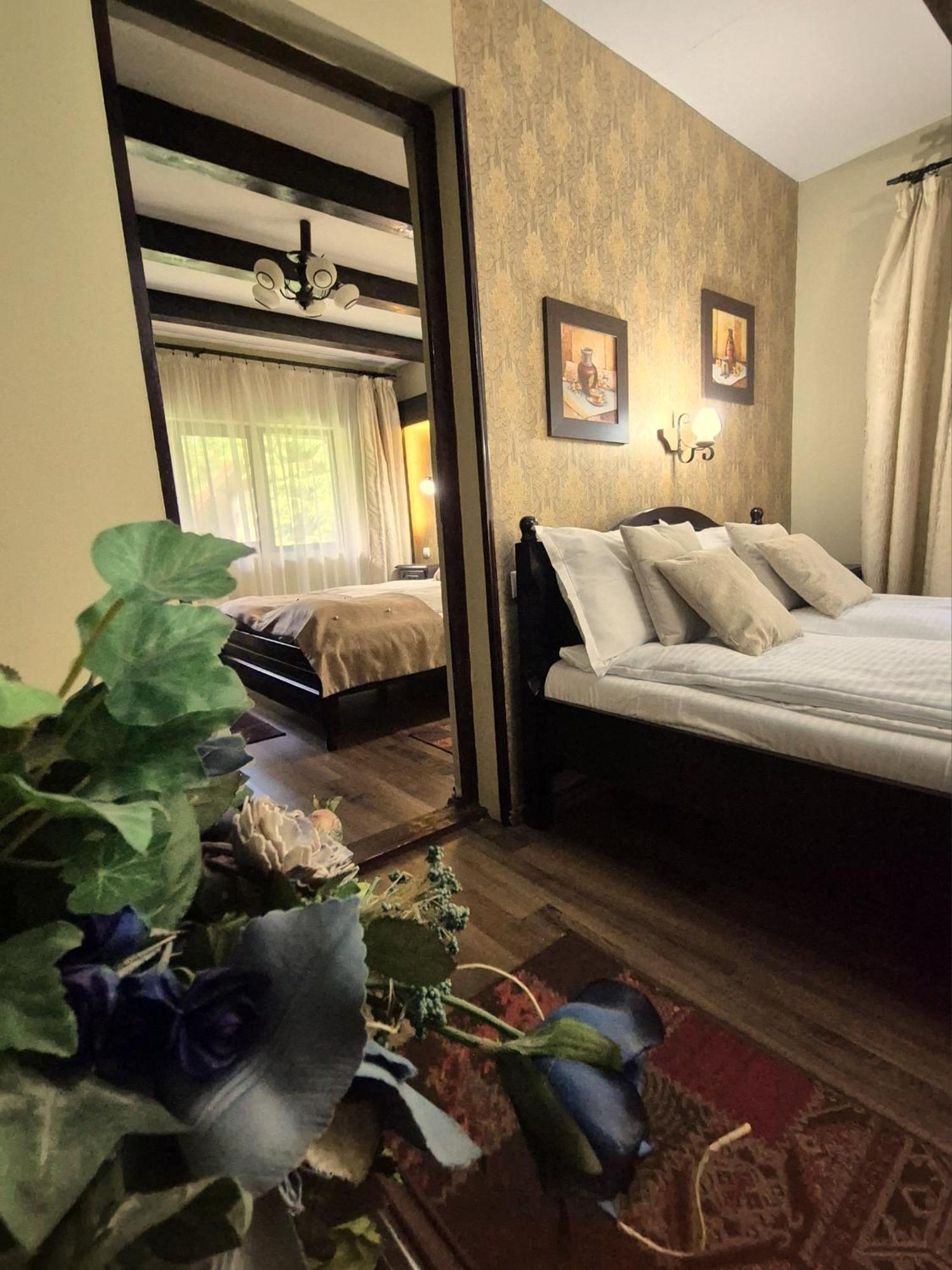 Hotel Pensiunea Dumbravita à Rîu de Mori Extérieur photo