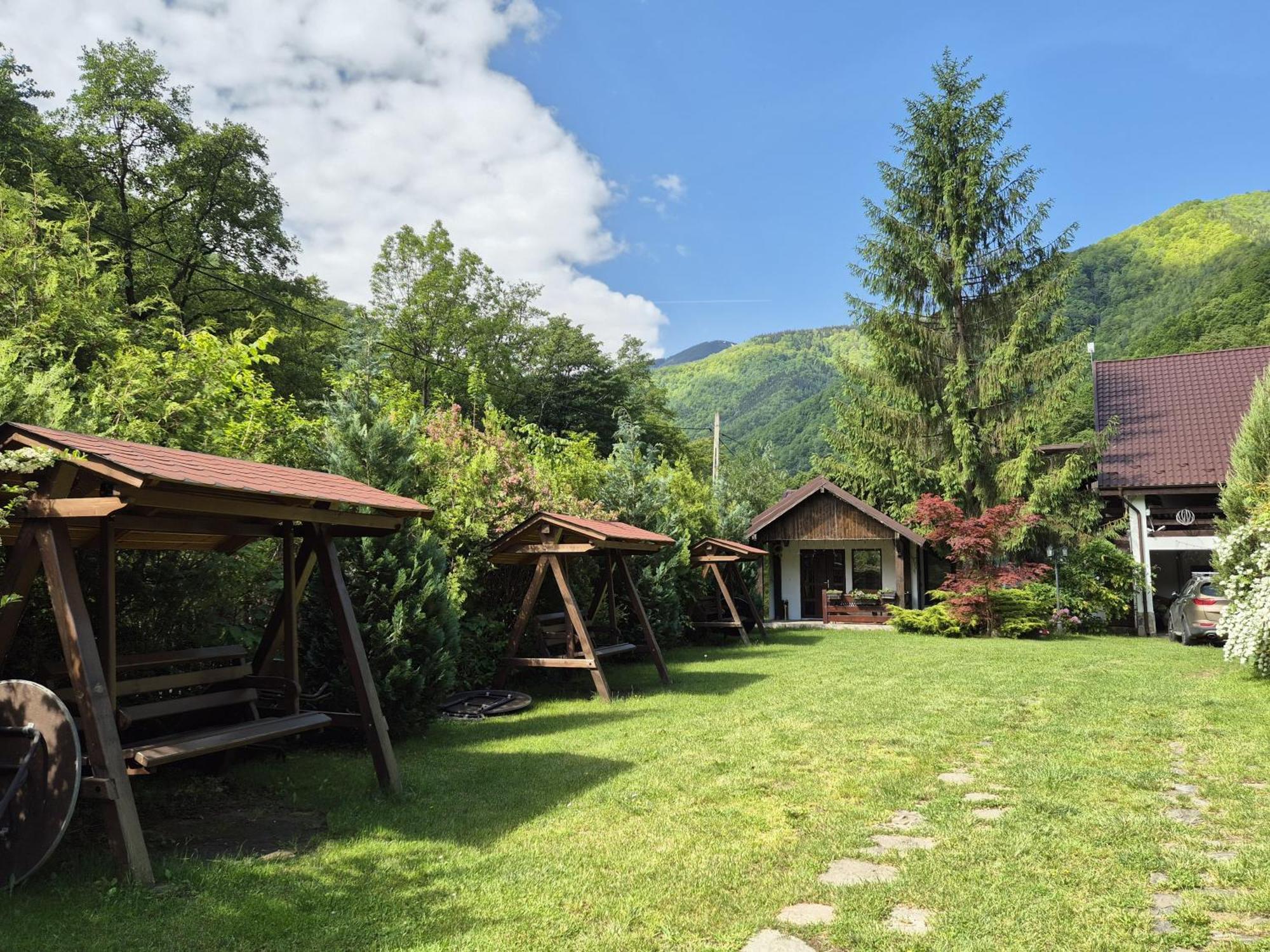 Hotel Pensiunea Dumbravita à Rîu de Mori Extérieur photo