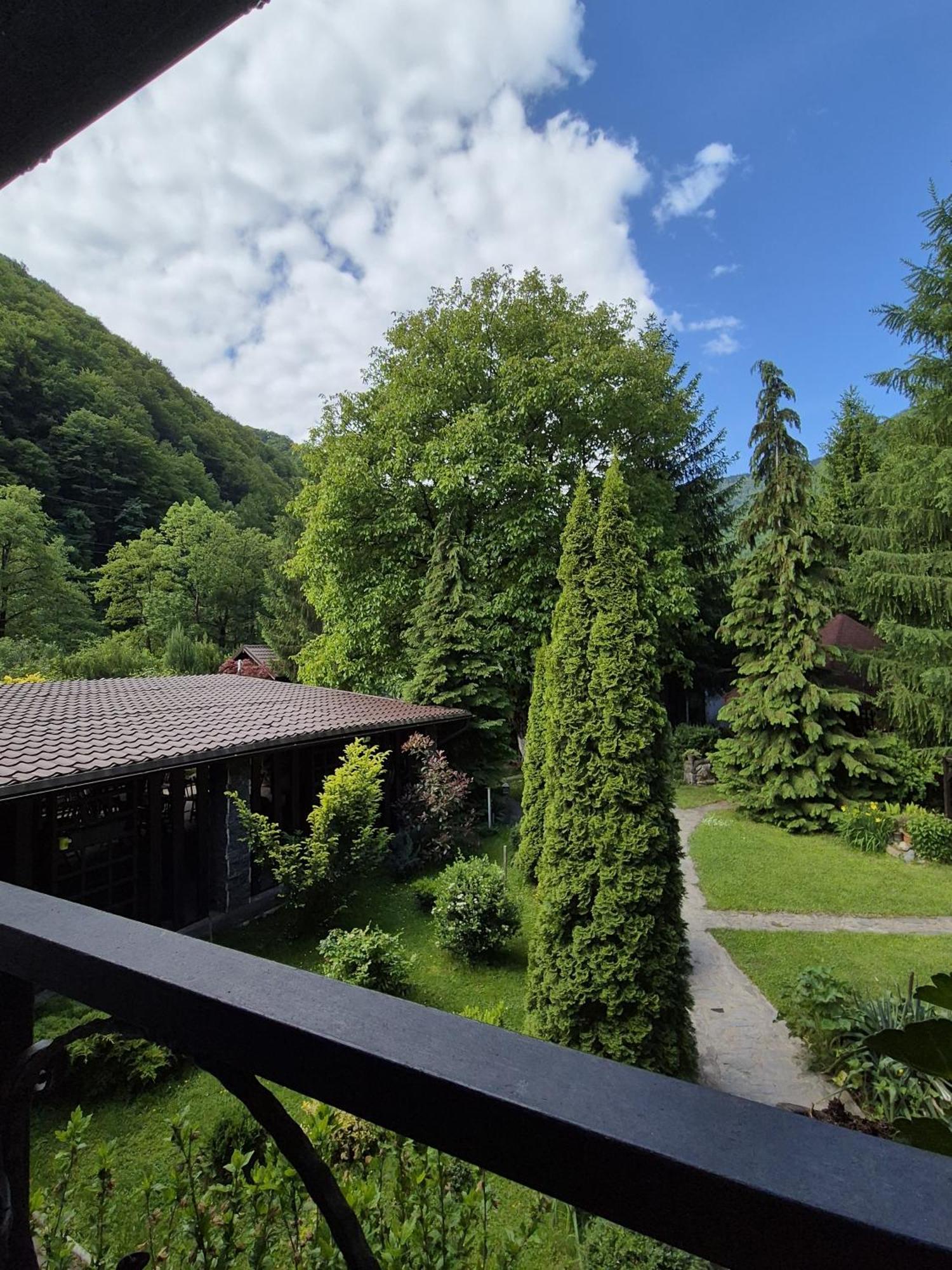 Hotel Pensiunea Dumbravita à Rîu de Mori Extérieur photo