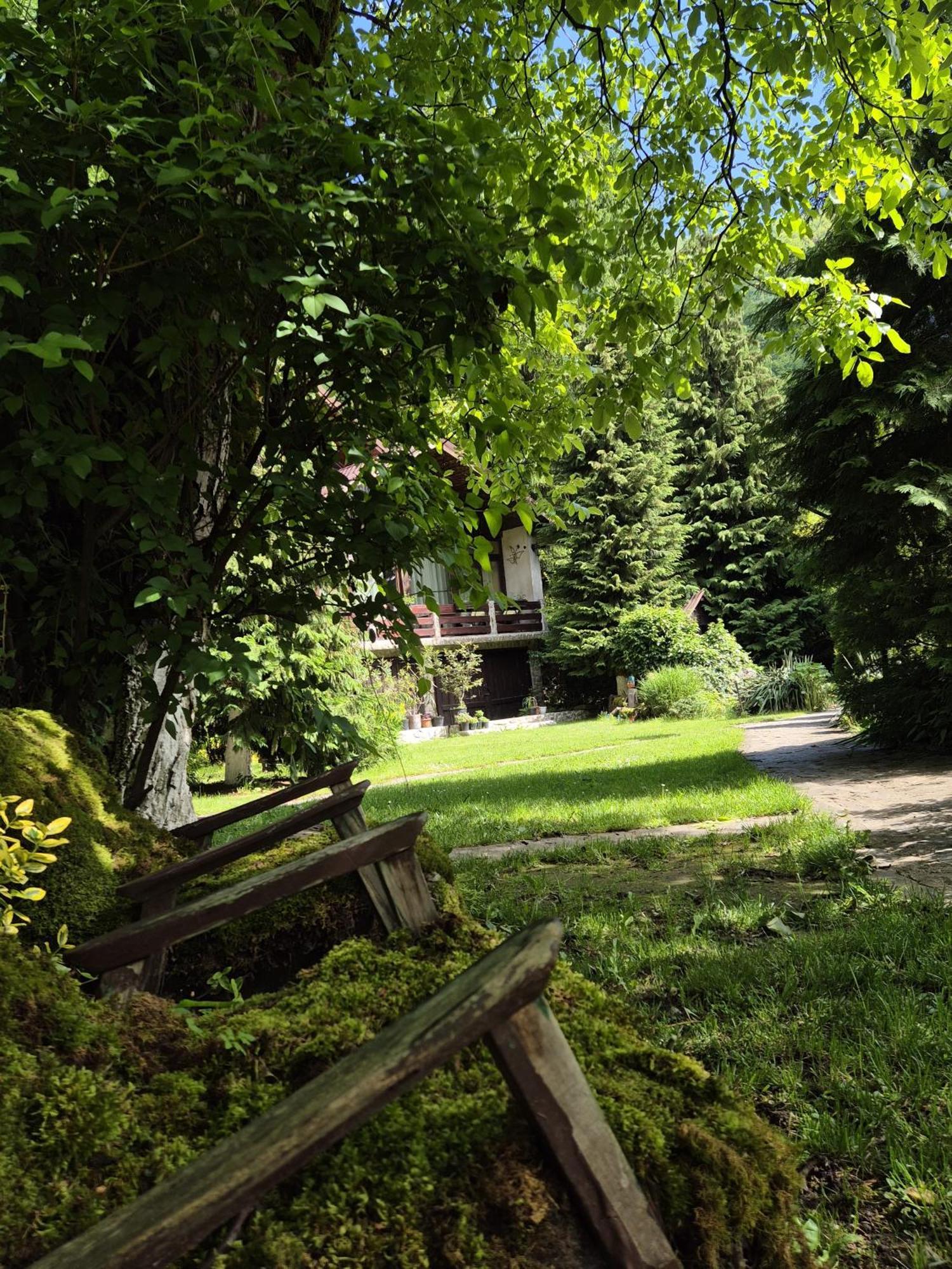 Hotel Pensiunea Dumbravita à Rîu de Mori Extérieur photo