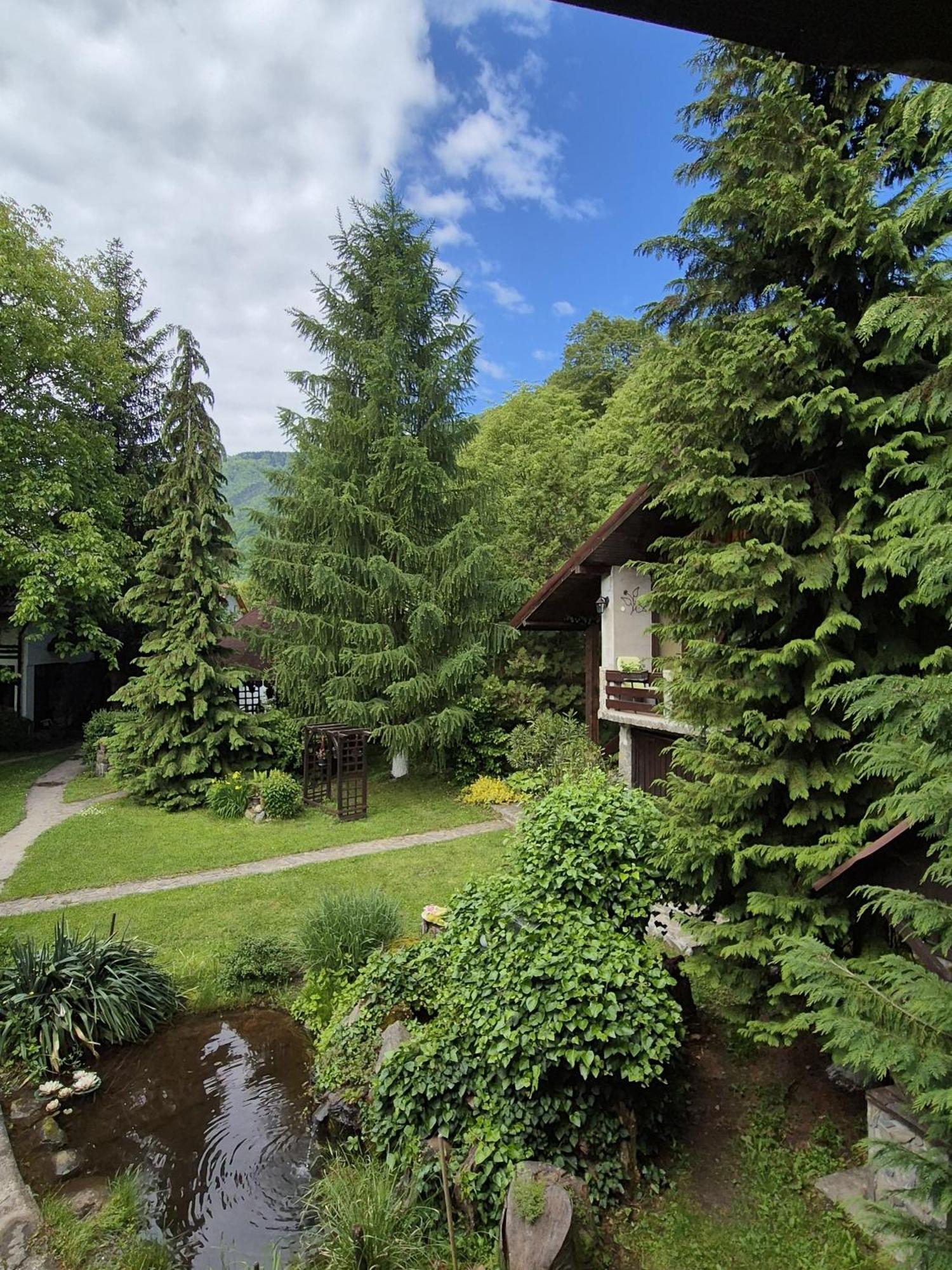Hotel Pensiunea Dumbravita à Rîu de Mori Extérieur photo