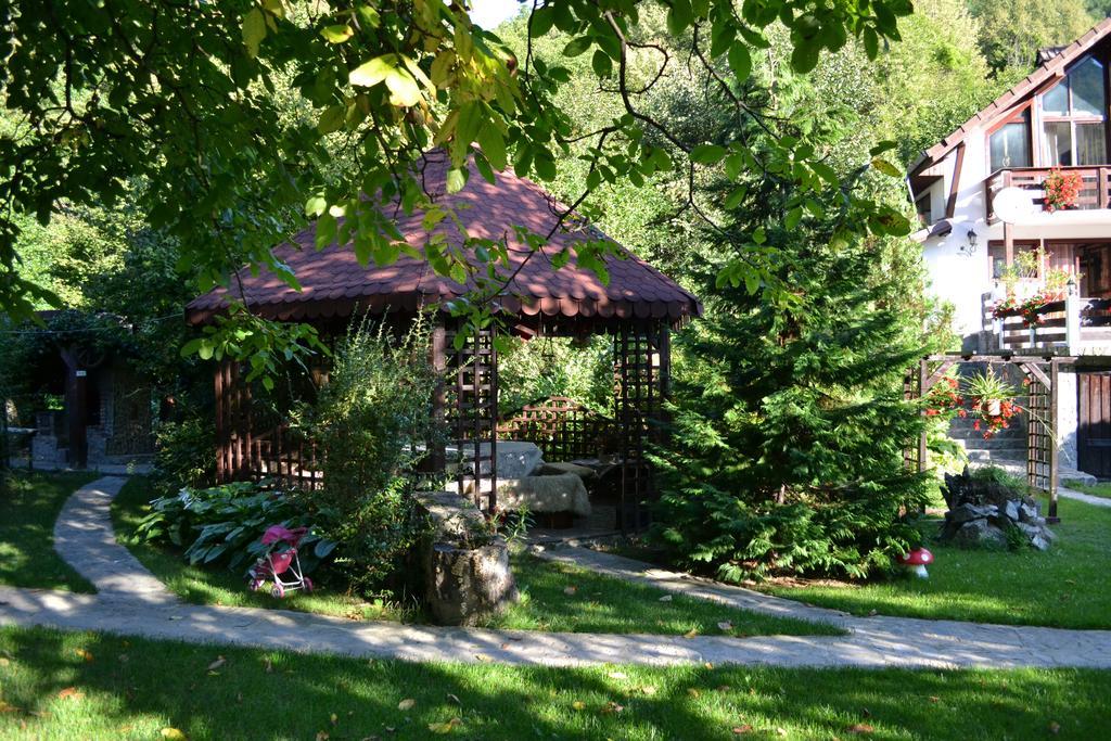 Hotel Pensiunea Dumbravita à Rîu de Mori Extérieur photo