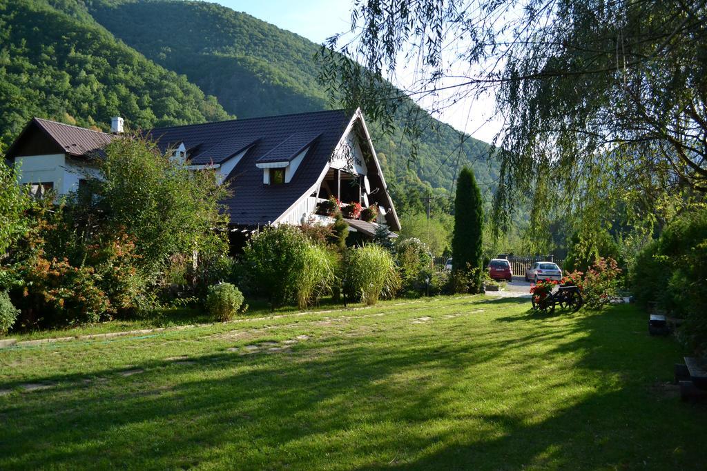 Hotel Pensiunea Dumbravita à Rîu de Mori Extérieur photo