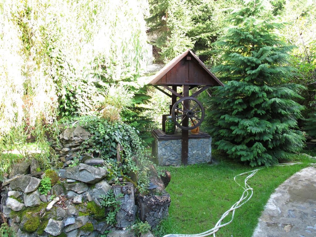 Hotel Pensiunea Dumbravita à Rîu de Mori Extérieur photo