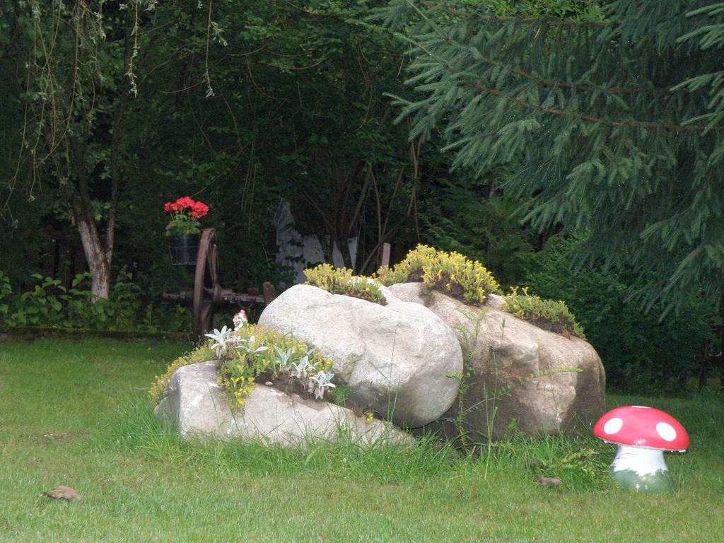 Hotel Pensiunea Dumbravita à Rîu de Mori Extérieur photo